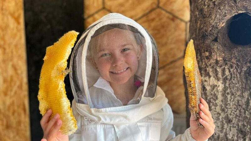 honey